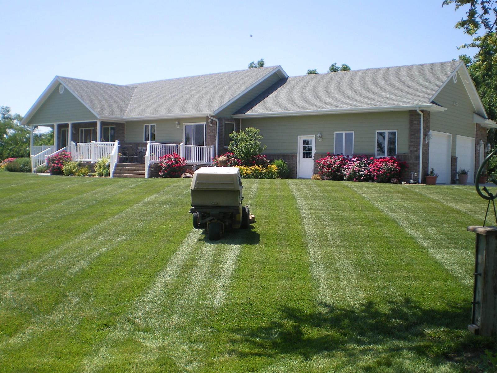 Professional lawn care