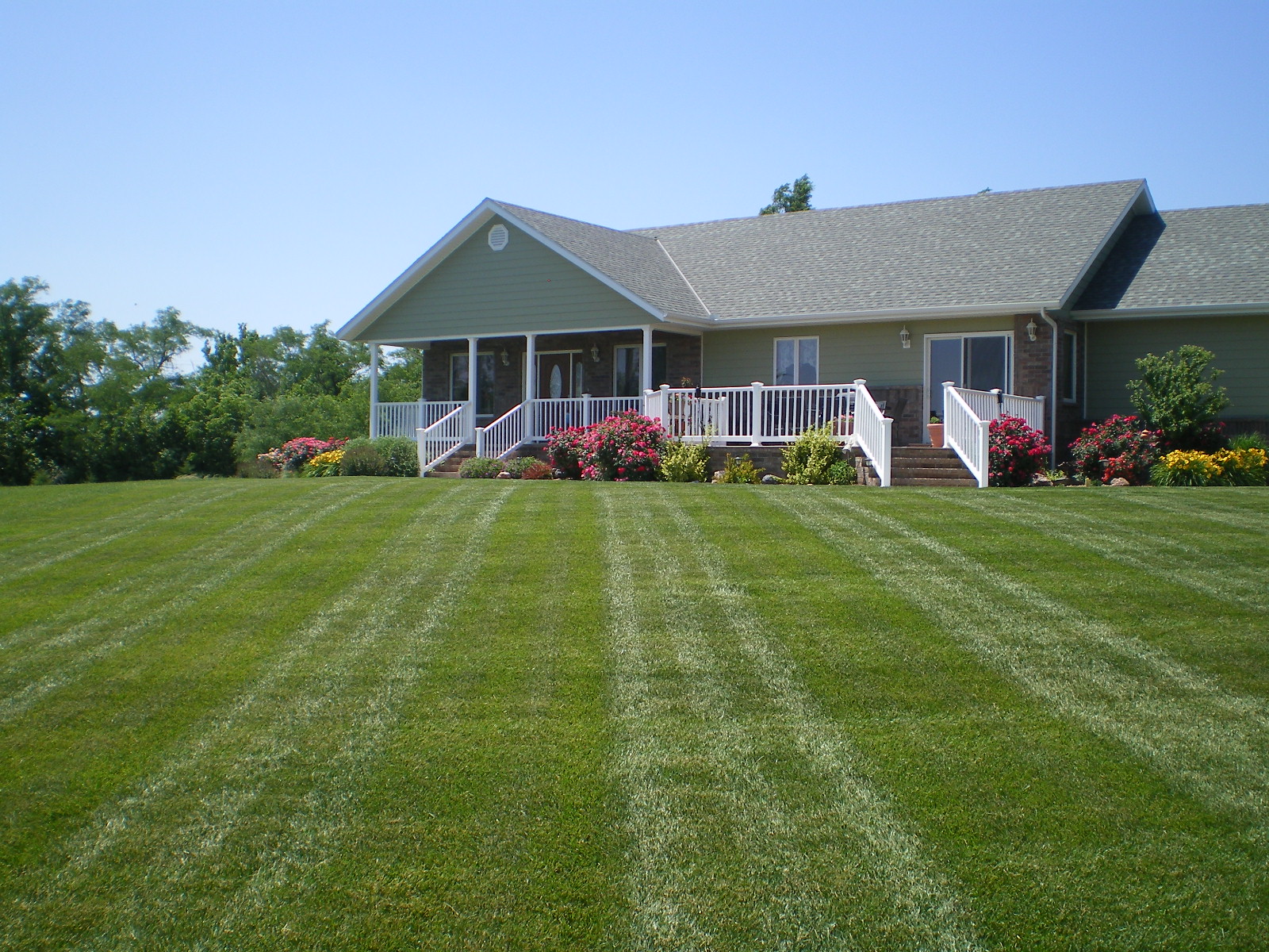 Professionally treated lawn with clean mowing stripes