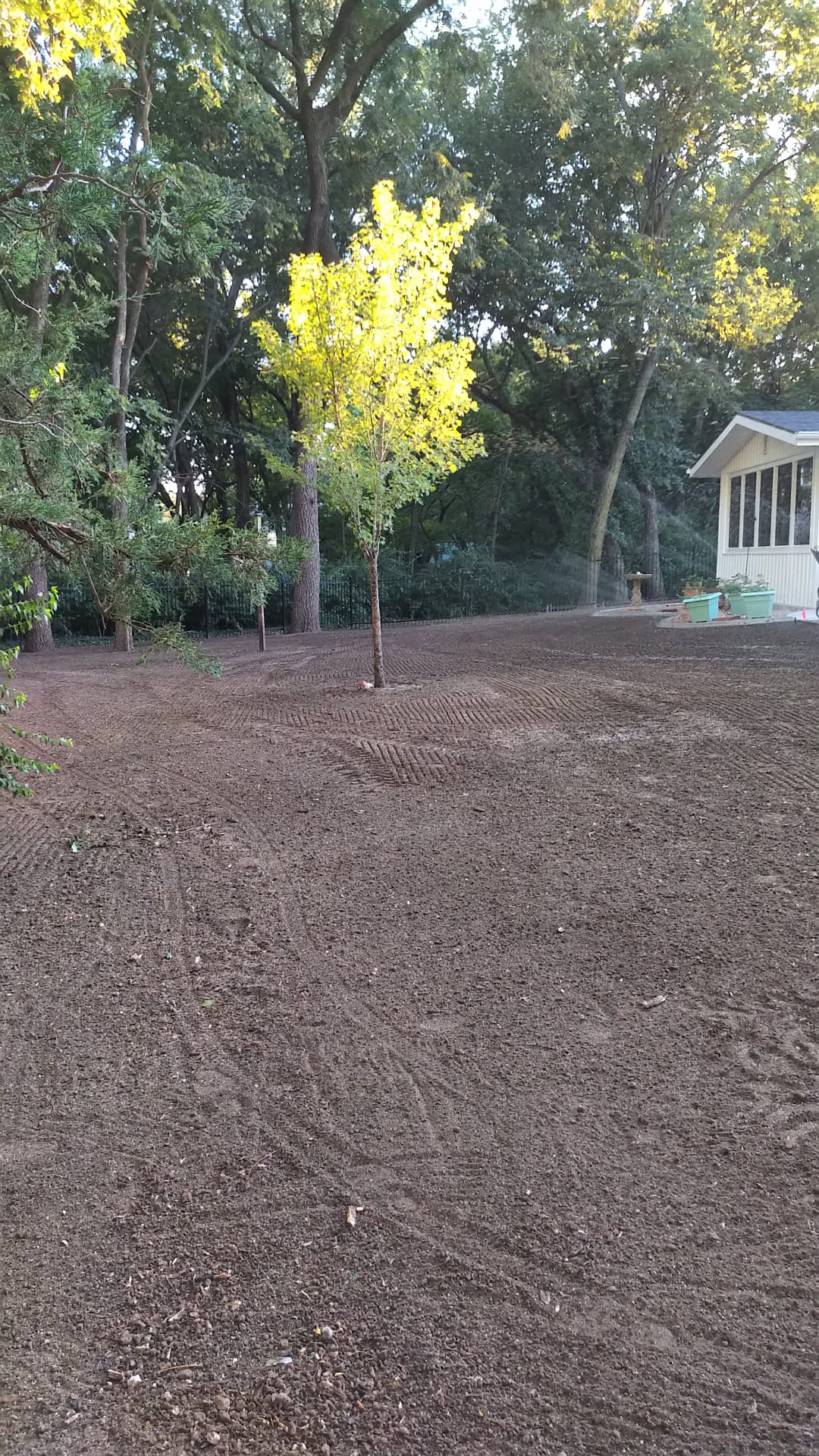 Freshly seeded lawn